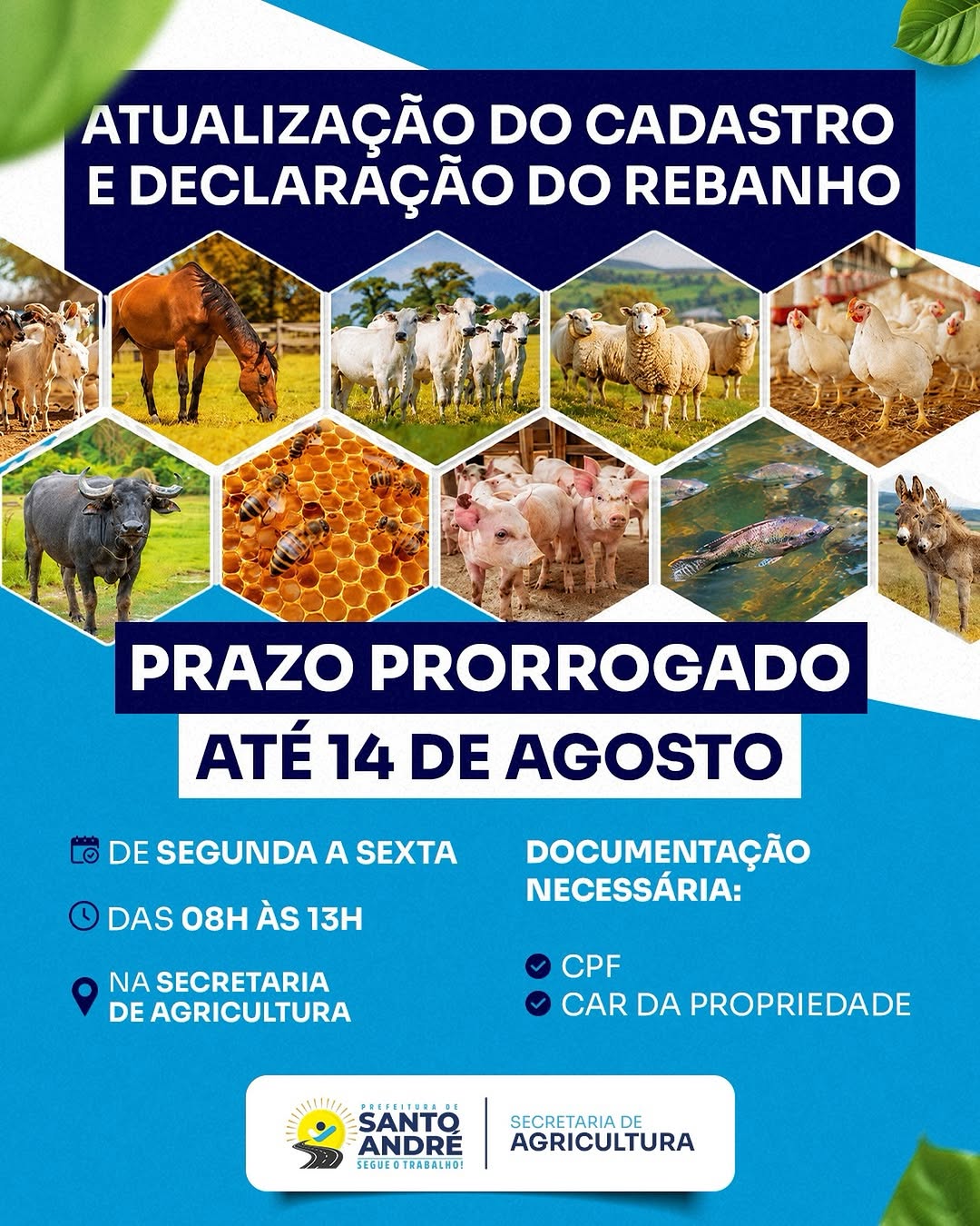 🚨 ATENÇÃO! O prazo para atualização do cadastro e declaração do rebanho foi prorrogado...