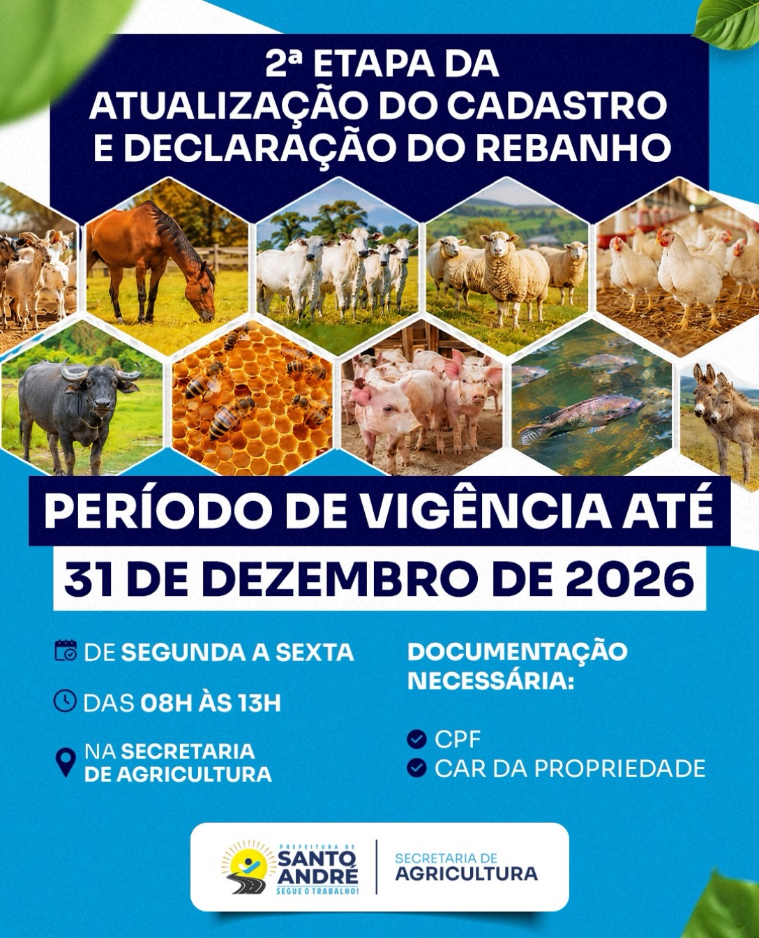 Atualização do cadastro e declaração do rebanho entra na 2ª etapa