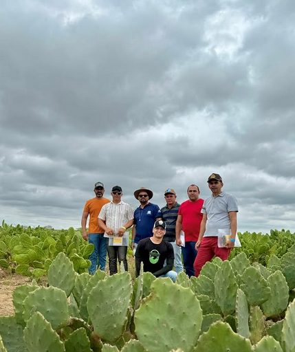 Secretaria de Agricultura participa de visita técnica sobre palma forrageira na EMPAER, em Pendência