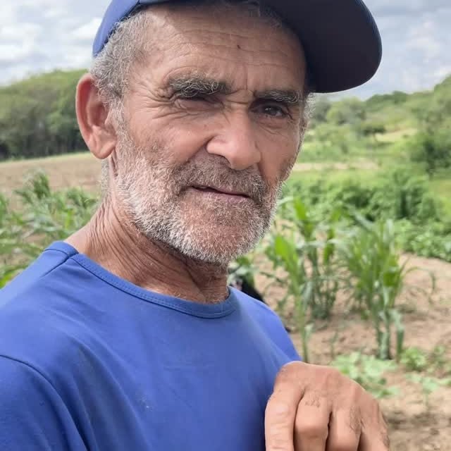 Algodão orgânico: Parceria fortalece produção sustentável e diversifica economia