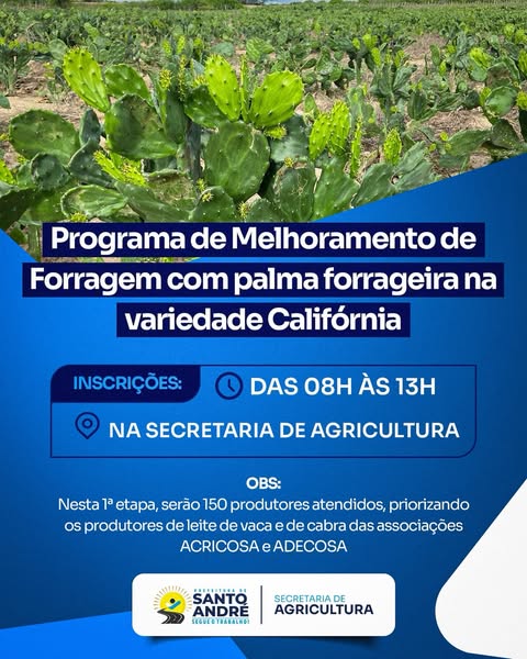Santo André abre inscrições para Programa de Melhoramento de Forragem com palma Califórnia