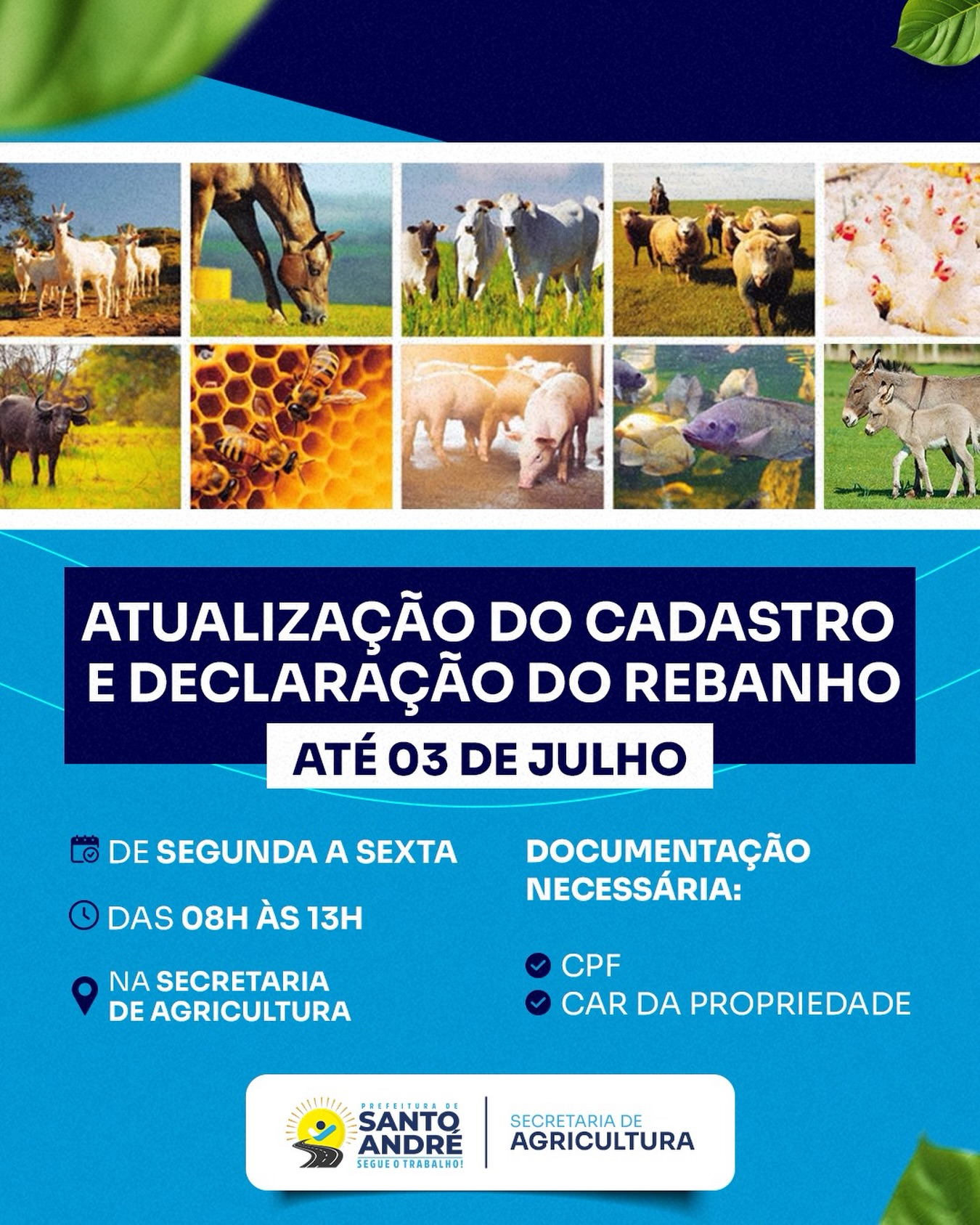 Santo André convoca produtores para atualização do Cadastro e Declaração do Rebanho
